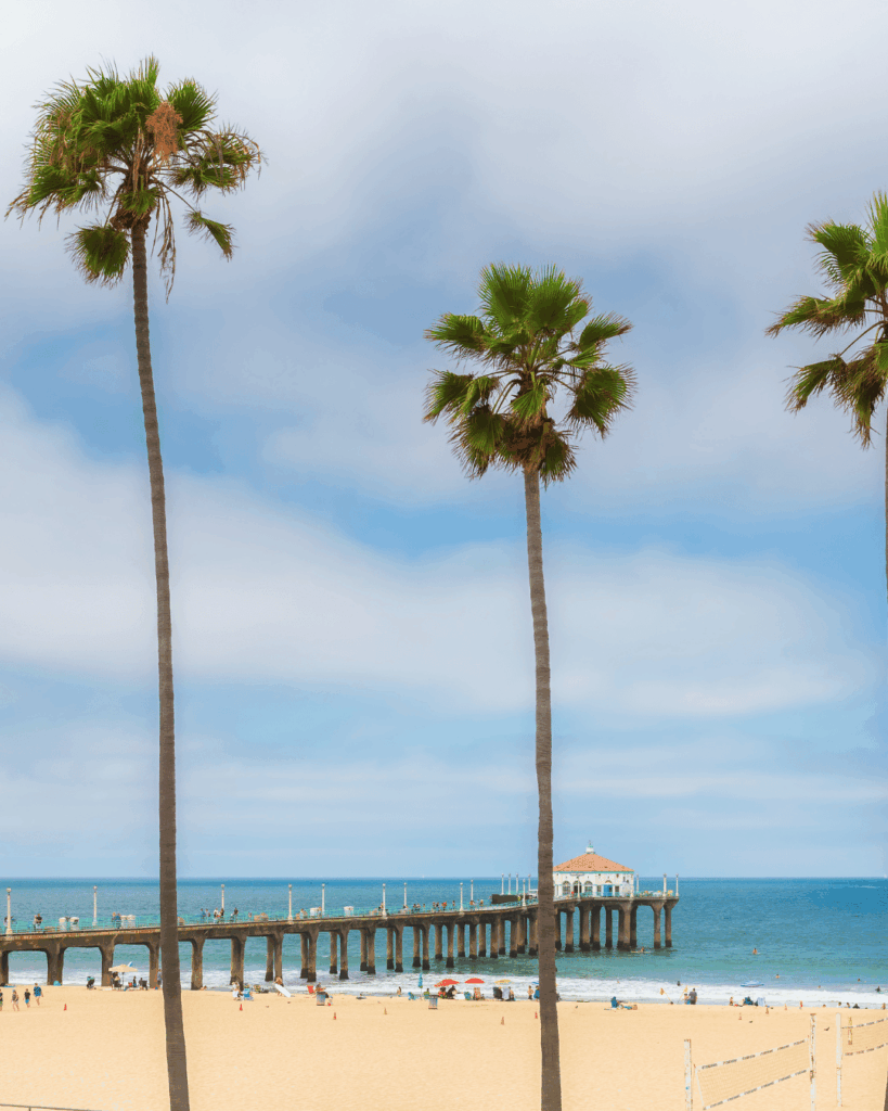 Hermosa Beach pier and palm trees in California