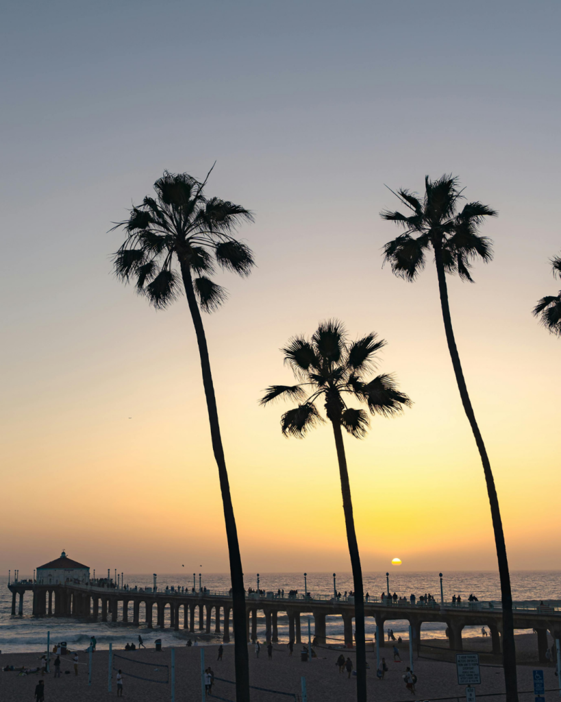 Sunset view with palm trees in Lake Forest, California